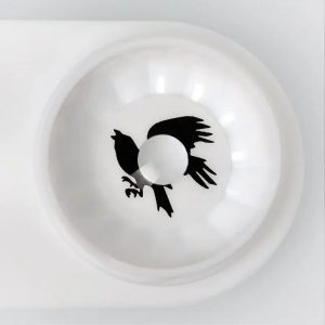 Alternative view of ComicPie Eagle Halloween Cosplay Colored Contact Lenses (RY337)