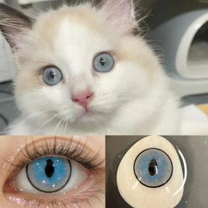 ComicPie Grey Contact Lenses for Cosplay & Halloween HD7-5